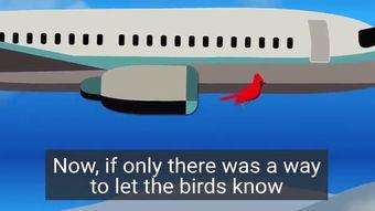 飞机船视频,飞机、船只与天际线的完美融合