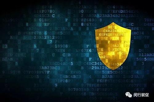 信息安全视频,视频深度解析