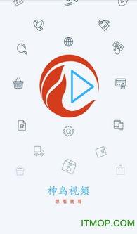 神鸟教学视频,揭秘高效学习之道