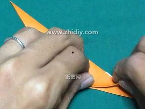 折老鹰视频,揭秘传统技艺与自然和谐共生的传奇故事