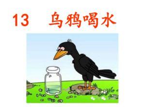 乌鸦喝水教学视频,智慧与创新的经典寓言解析
