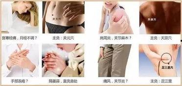 艾灸穴位视频,轻松掌握养生保健之道