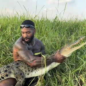 鳄鱼打架视频,一场水下生死搏斗的惊心动魄