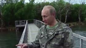 老虎猎杀水牛视频,老虎猎杀水牛生死瞬间